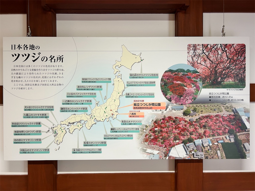 f:id:Shinjuku_3chome:20250526220856j:image