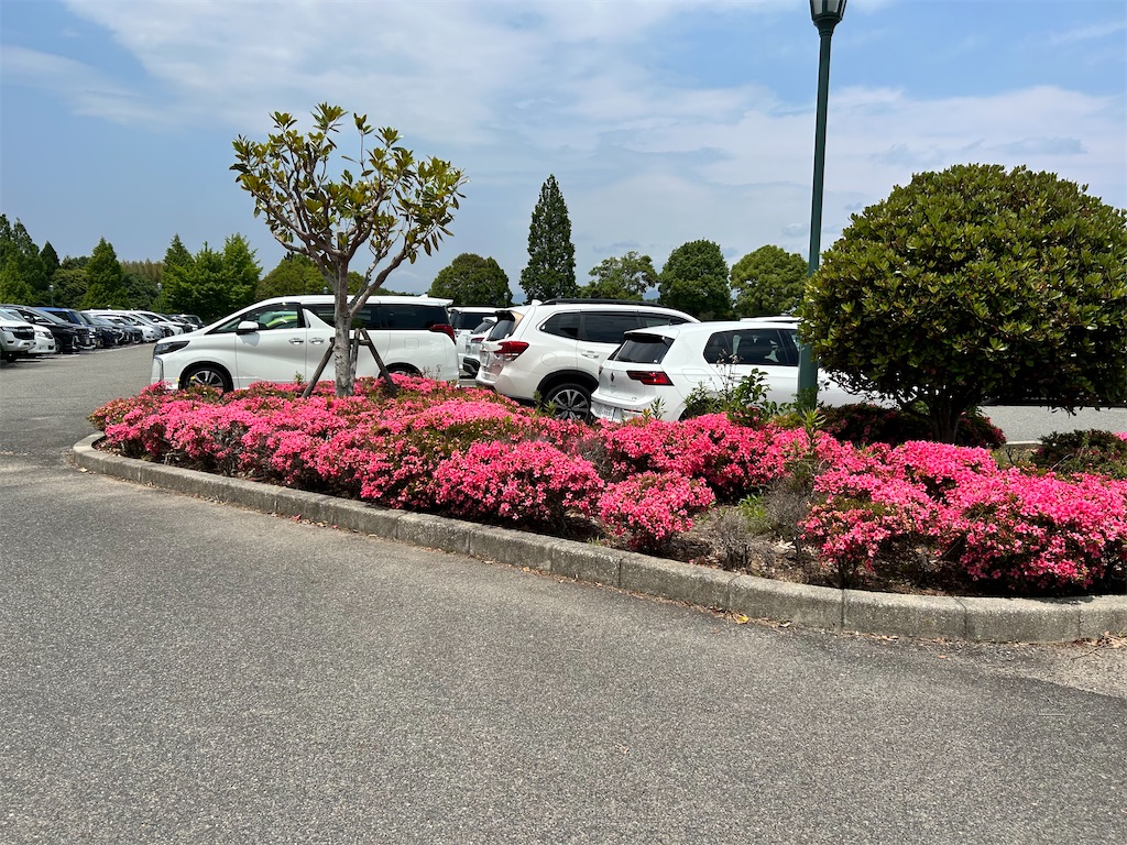 f:id:Shinjuku_3chome:20250604134335j:image