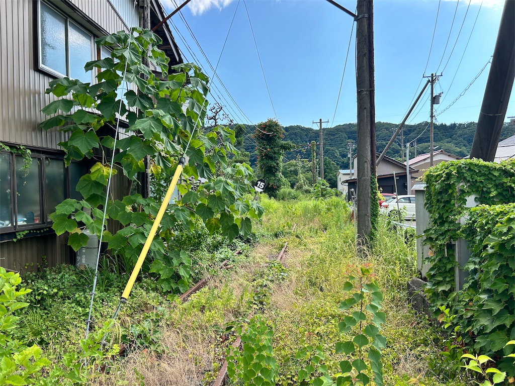 f:id:Shinjuku_3chome:20250730212935j:image