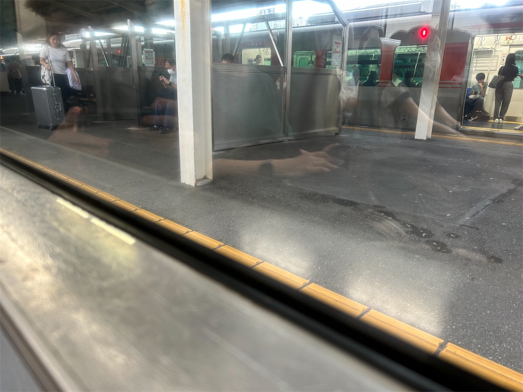 f:id:Shinjuku_3chome:20250807164701j:image