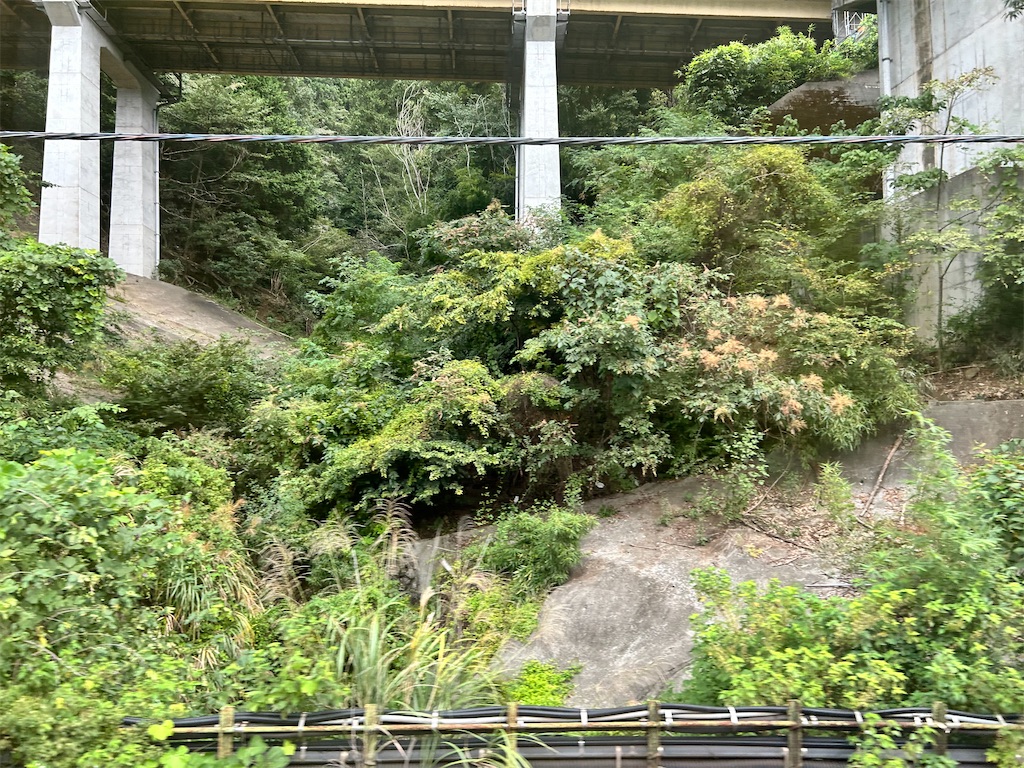 f:id:Shinjuku_3chome:20251004094228j:image
