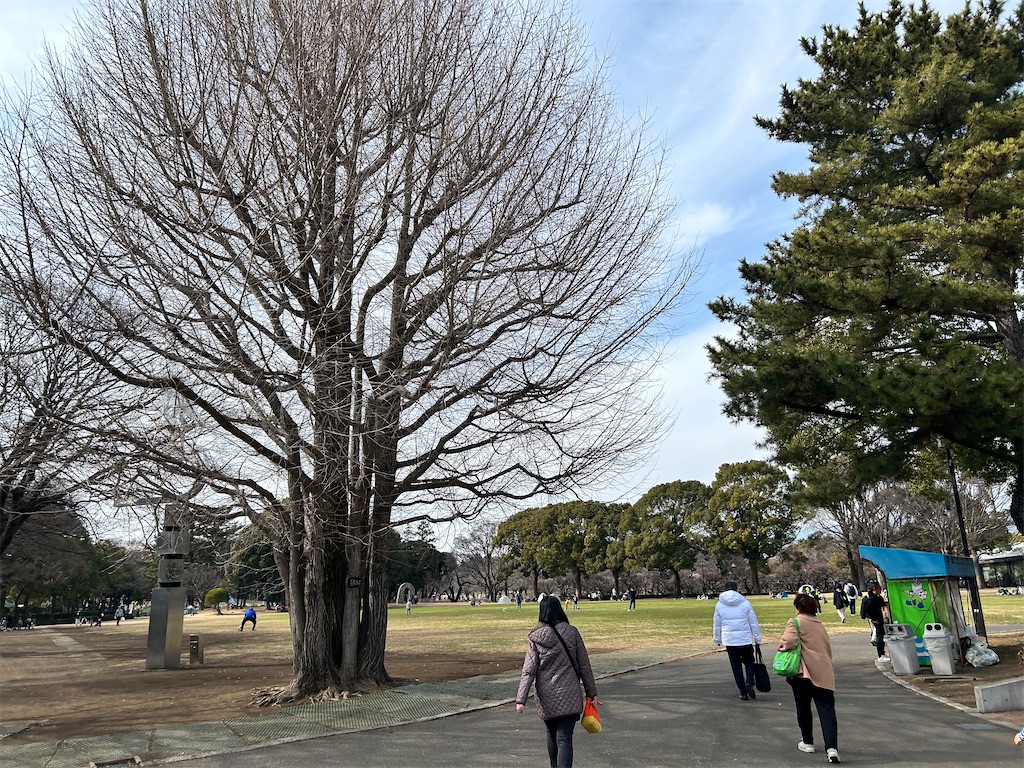 f:id:Shinjuku_3chome:20260214134855j:image