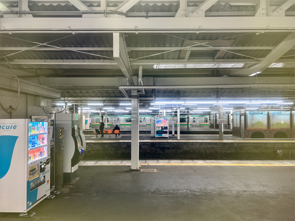 f:id:Shinjuku_3chome:20260313002803j:image