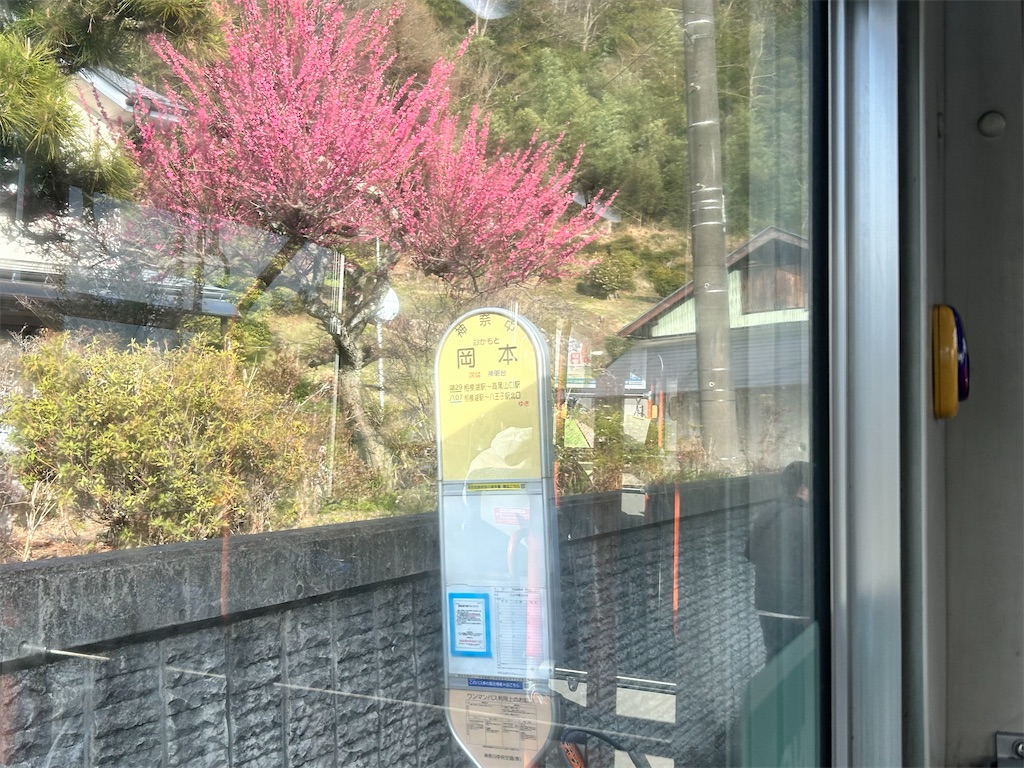 f:id:Shinjuku_3chome:20260318170045j:image