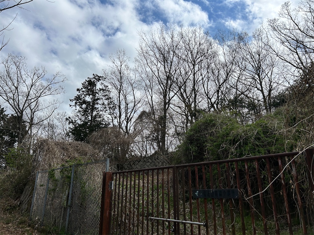 f:id:Shinjuku_3chome:20260319210657j:image