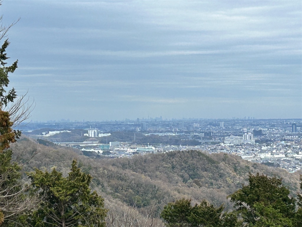 f:id:Shinjuku_3chome:20260319211137j:image