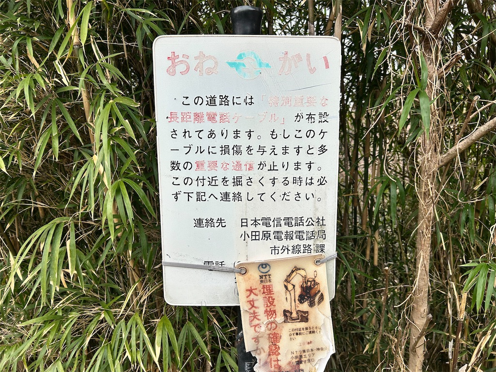 f:id:Shinjuku_3chome:20260319211327j:image