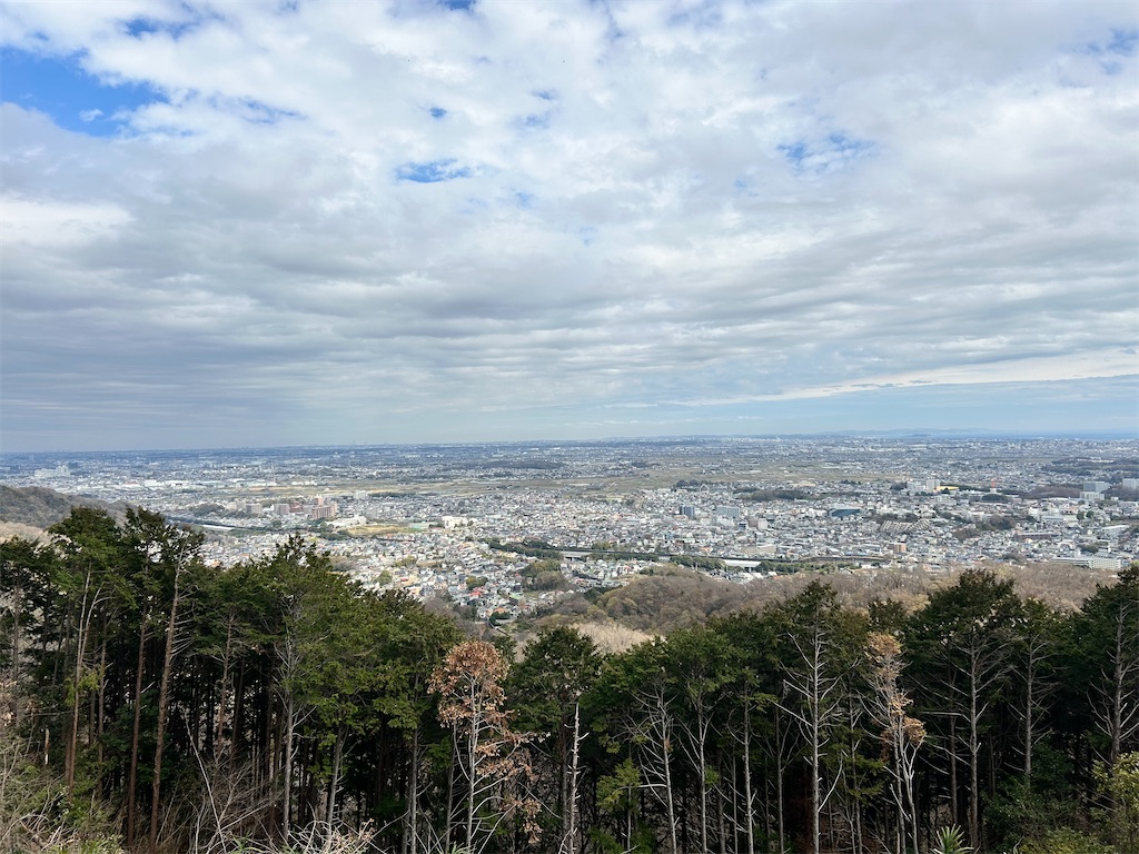 f:id:Shinjuku_3chome:20260319211342j:image