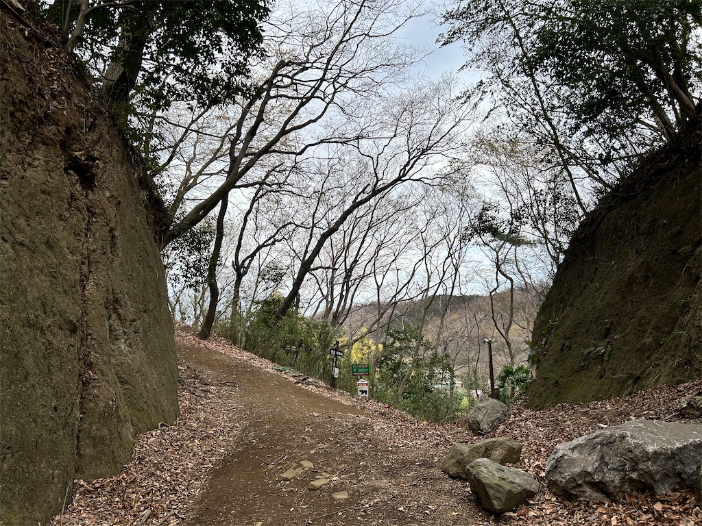 f:id:Shinjuku_3chome:20260319211418j:image