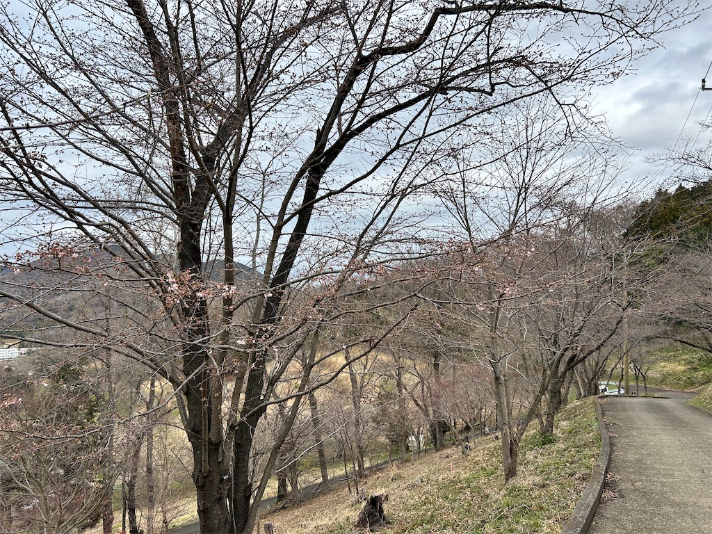 f:id:Shinjuku_3chome:20260319211452j:image