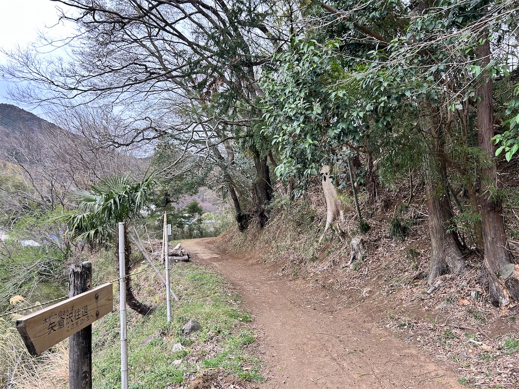 f:id:Shinjuku_3chome:20260319211502j:image
