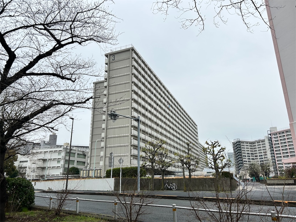 f:id:Shinjuku_3chome:20260323112217j:image