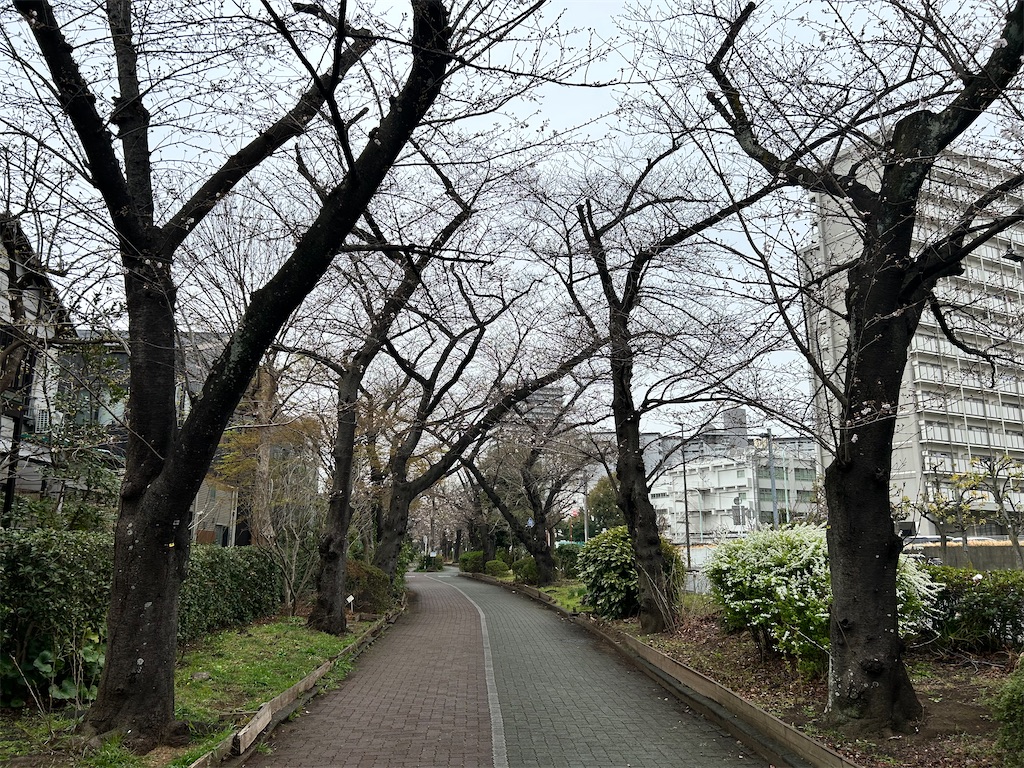f:id:Shinjuku_3chome:20260323112253j:image