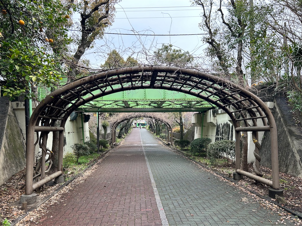 f:id:Shinjuku_3chome:20260323112654j:image