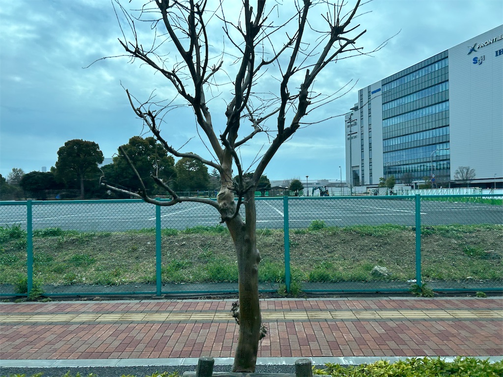 f:id:Shinjuku_3chome:20260323142433j:image