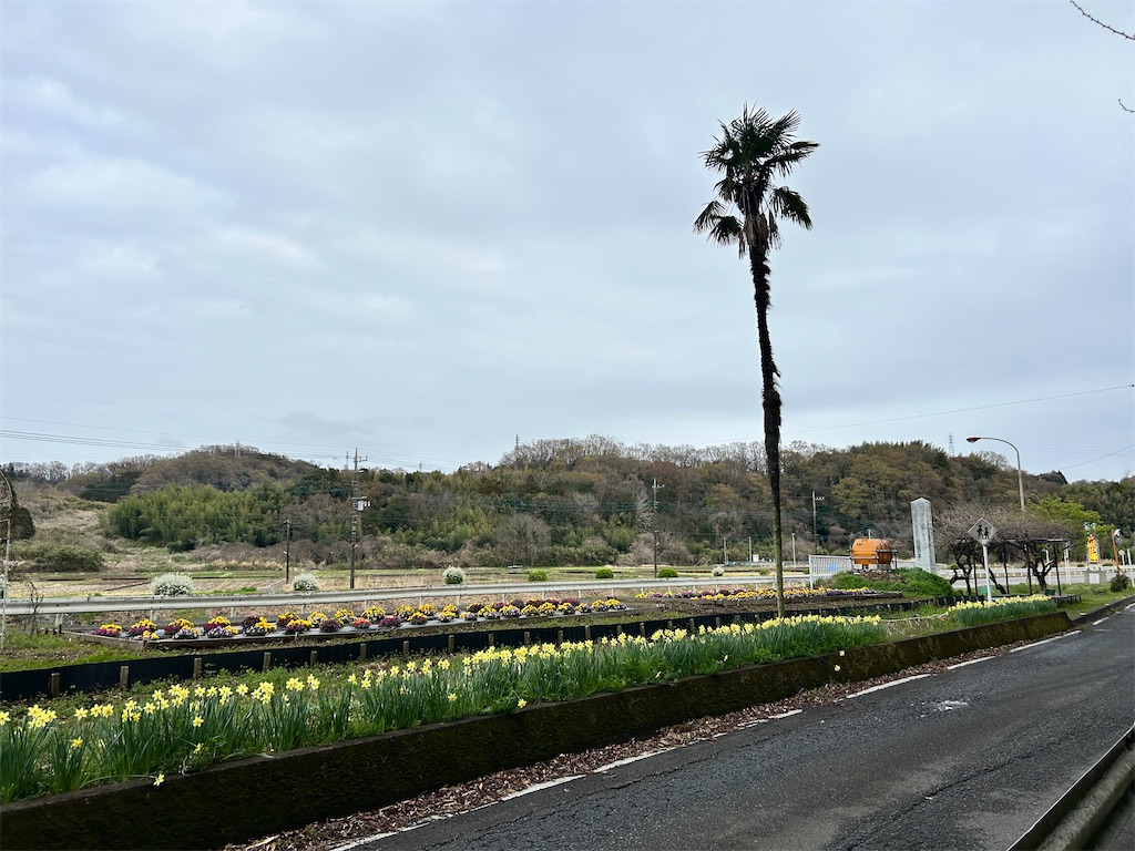 f:id:Shinjuku_3chome:20260328125319j:image