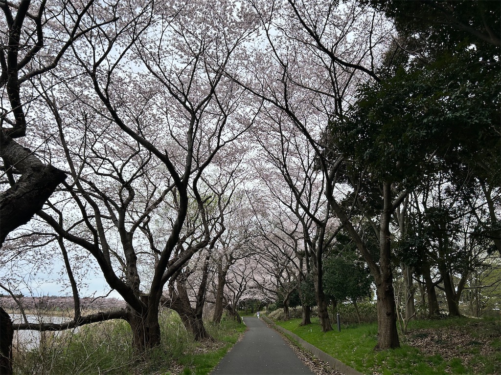 f:id:Shinjuku_3chome:20260405165021j:image