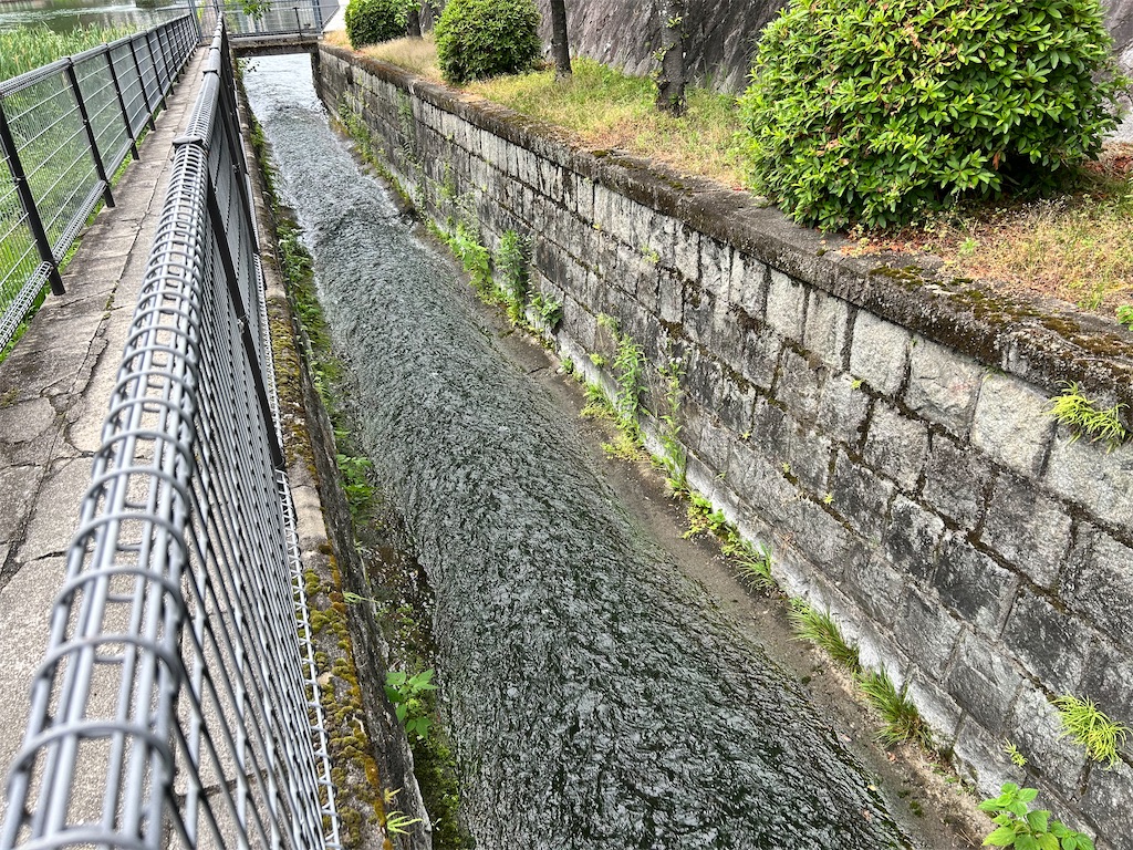 f:id:Shinjuku_3chome:20260527173540j:image
