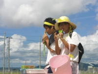 f:id:Shinnan-jhs:20130830103510j:image