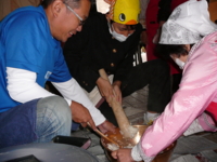 f:id:Shinnan-jhs:20131027110051j:image
