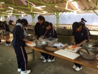 f:id:Shinnan-jhs:20160513114506j:image