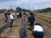 f:id:Shinnan-jhs:20160608111044j:image