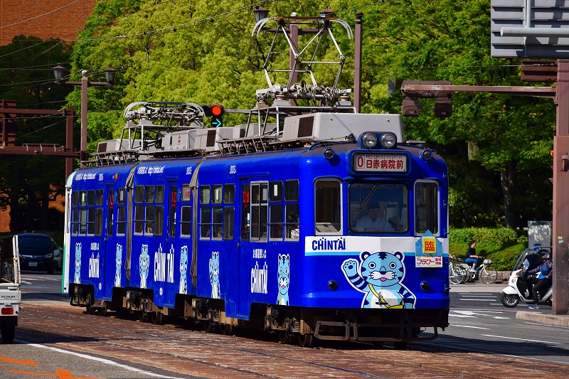 イメージ 11