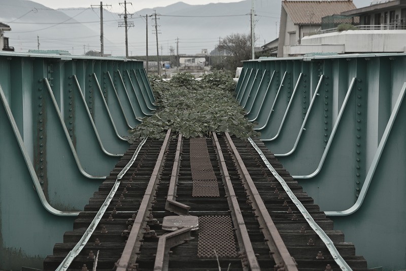 f:id:Shinpeki:20201121000252j:plain