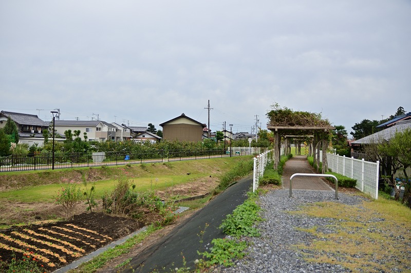 f:id:Shinpeki:20201126233411j:plain