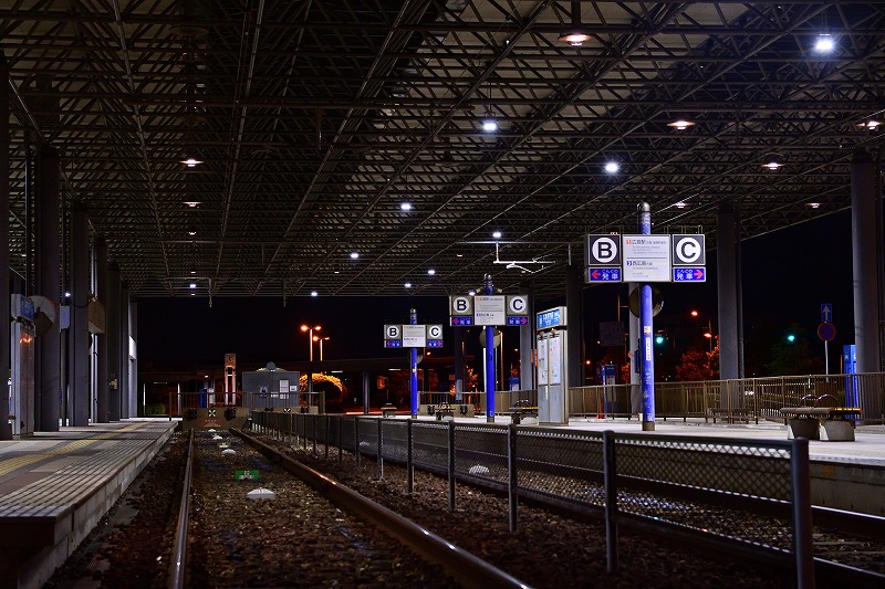 f:id:Shinpeki:20201201232458j:plain