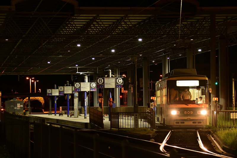 f:id:Shinpeki:20201201232502j:plain