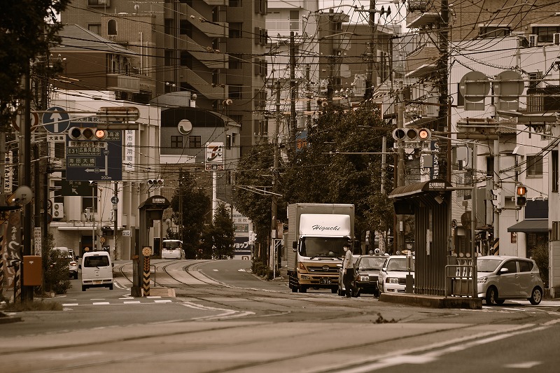 f:id:Shinpeki:20201201232537j:plain