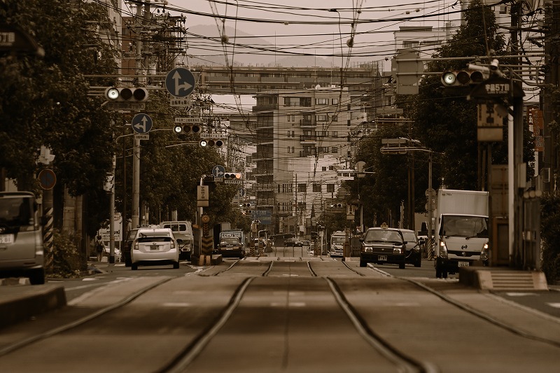 f:id:Shinpeki:20201201232540j:plain