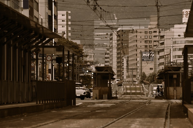 f:id:Shinpeki:20201201232545j:plain