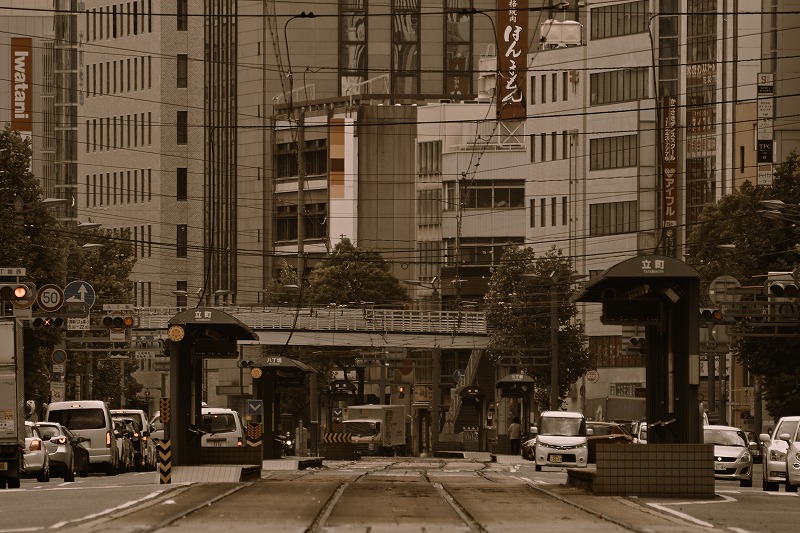 f:id:Shinpeki:20201201232549j:plain