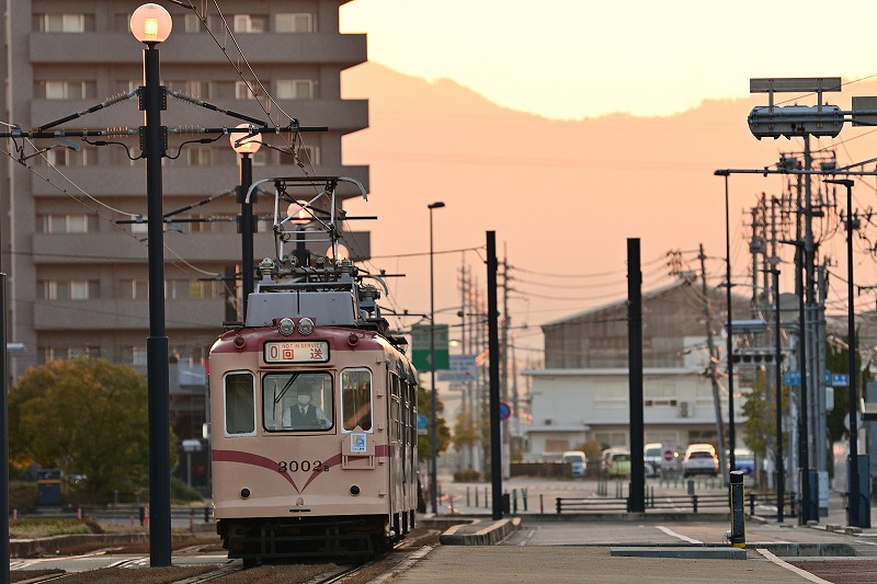 f:id:Shinpeki:20210224024704j:plain