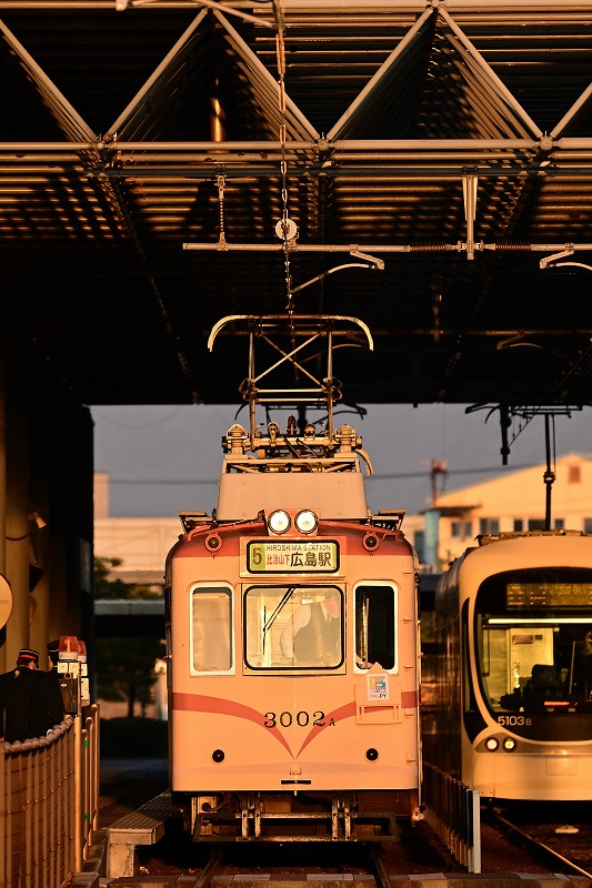 f:id:Shinpeki:20210224024708j:plain