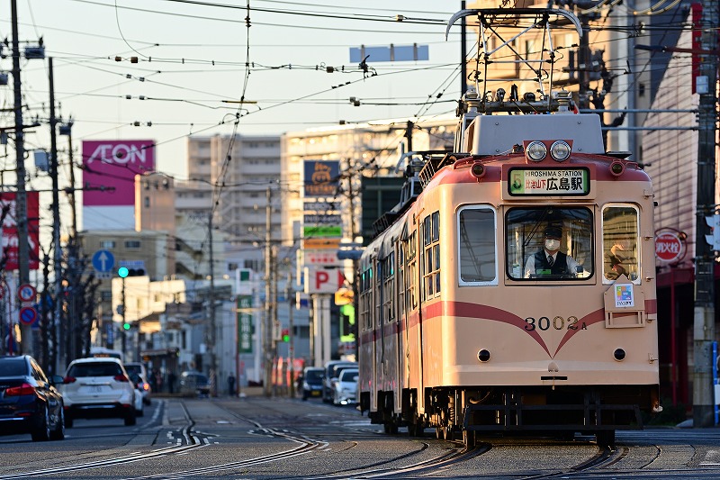 f:id:Shinpeki:20210224024719j:plain