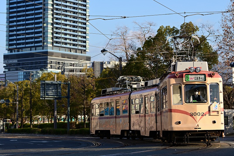 f:id:Shinpeki:20210224024734j:plain