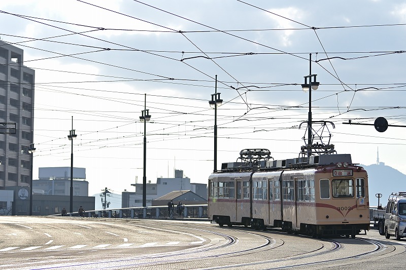 f:id:Shinpeki:20210224024810j:plain