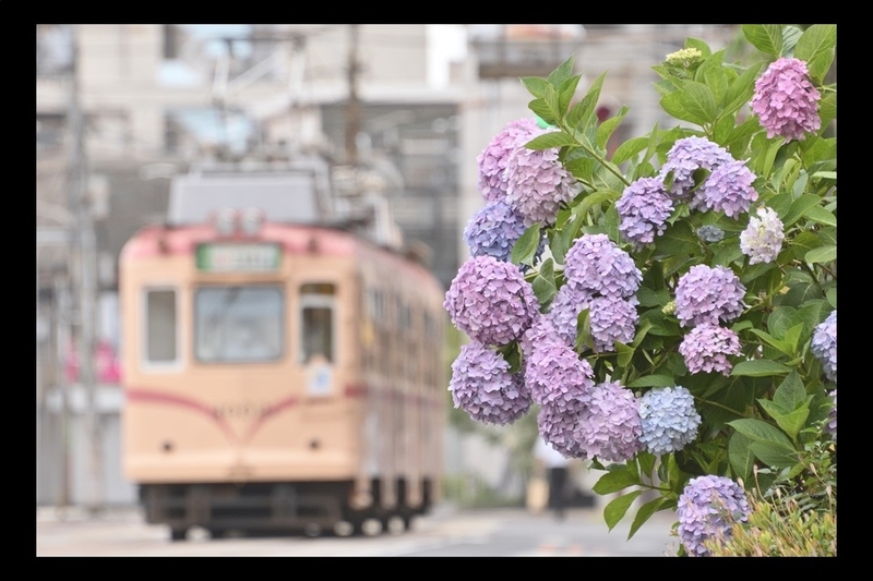 f:id:Shinpeki:20210227225632j:plain