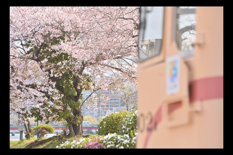 f:id:Shinpeki:20210227225721j:plain