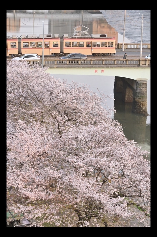 f:id:Shinpeki:20210301164758j:plain