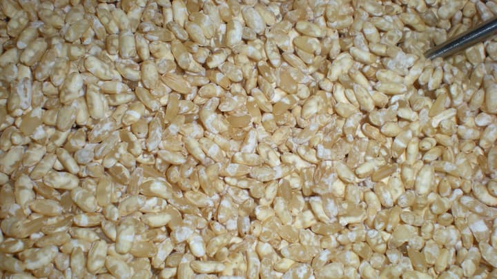 【発酵食品】玄米麹作りに2回目の挑戦。種麹を使って成功! - 自然は最適解