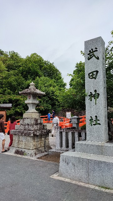 f:id:ShintaroU:20210628223752j:image