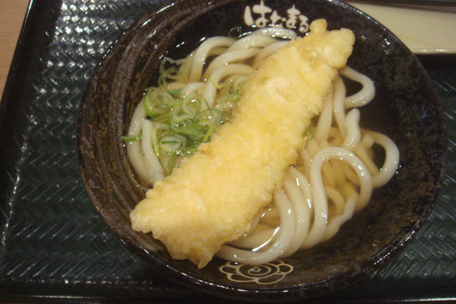 イカ天うどん