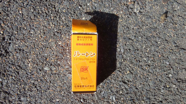 ルートン