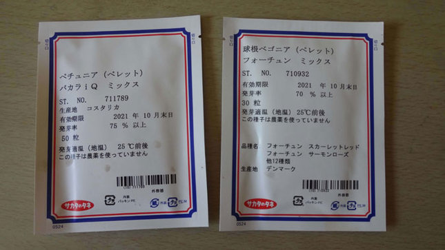 ペチュニアと球根ベゴニアの種