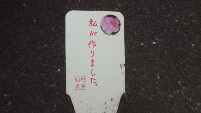 杉井明美のペチュニアクラブ 桃色吐息