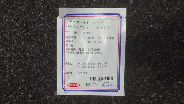 サカタのタネ アフリカンマリーゴールド